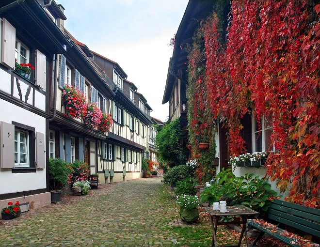 selva negra suiza