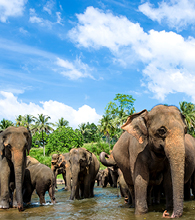 Sri Lanka